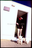 Denis and his dogs, Howth sailing club, Co.Dublin